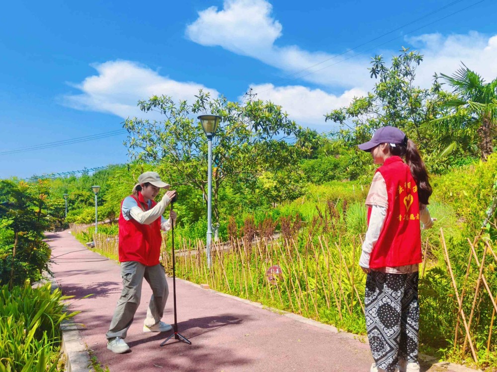 t(y)ˎýńɽl(xing)d¾G ֡ůń l(xing)(dng)