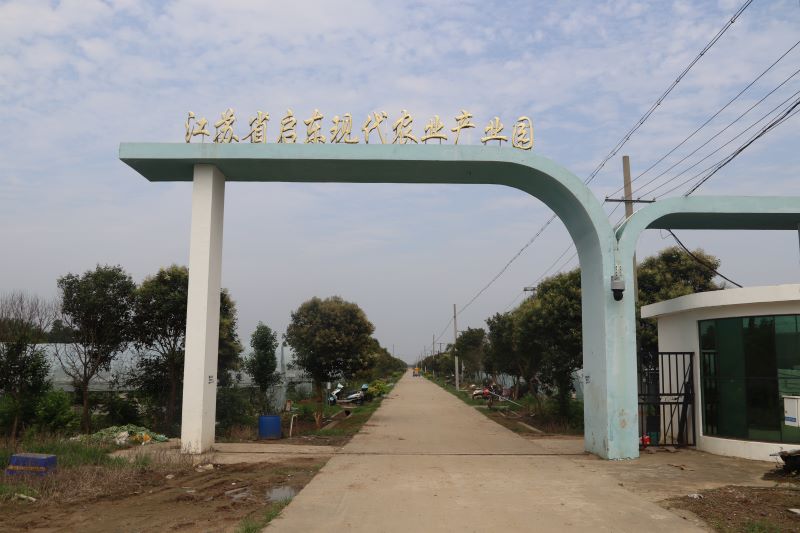 河海學(xué)子三下鄉(xiāng)：譜寫鄉(xiāng)村振興的新篇章